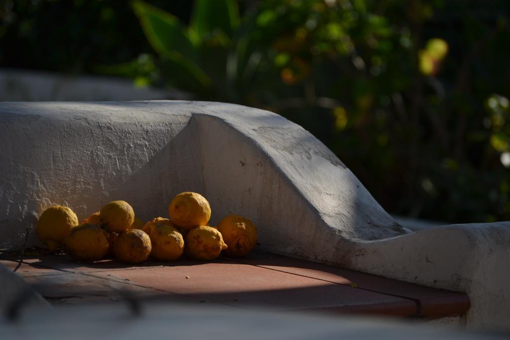 Villa Schicciolina Stromboli Esterno foto